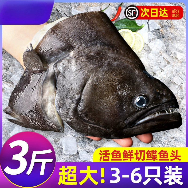Замороженная голова турботов, экстра-большая голова морского ушка, свежая глубоководная окунь, оптовая продажа головы бабочки-рыбы, морепродукты.