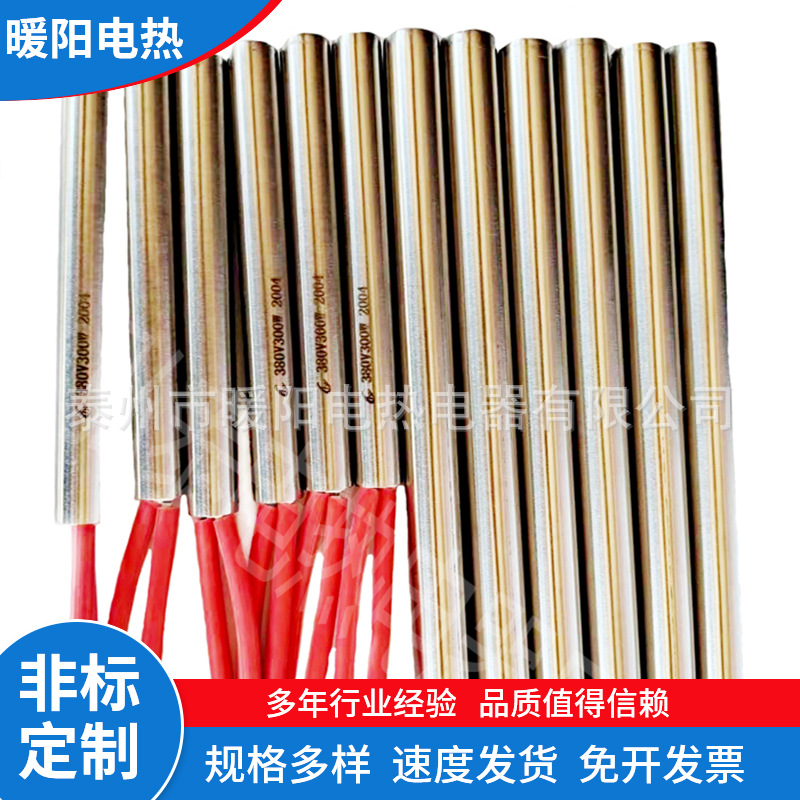 6 8 10 12 30 50 60 80 100 Mold Single-Head Heating Rod Stainless Steel Single-Ended Electric Heating Tube