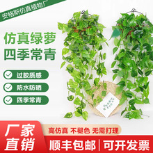 �ڒ�ٻ��ٗl�Gֲ���ڿ͏d�҃�ֲ��G���b��m�Ҿ��b�����