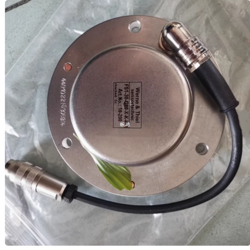 原装Werne & Thiel 湿度传感器FS1-30-G80-X-K-I4德国