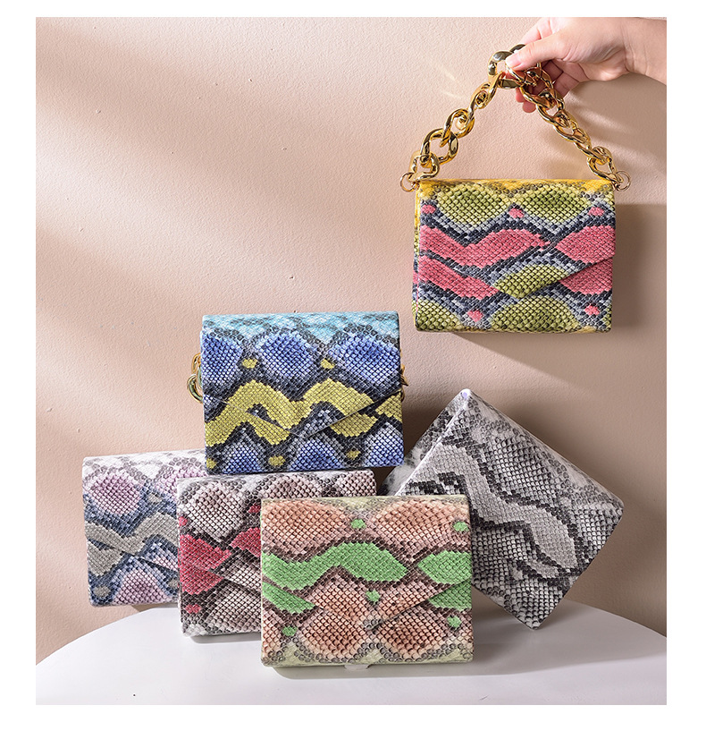Creative niche trend snake print bag chain animal print bag cross-border women's dinner bag party _voghion.com