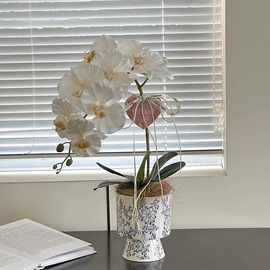 新中式复古青花瓷纹蝴蝶兰陶瓷花盆瓷器绿植花卉通用盆落地式其D&