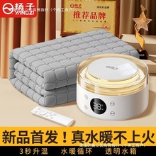 Pˮů늟̺pӆˮѭh2025¿ˮ̺ˮ|ȫ