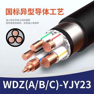 �д�ԪͨWDZB-YJY23�~о�͟��o�u��ȼB��z�b����ϩ��|4 4+1 5о