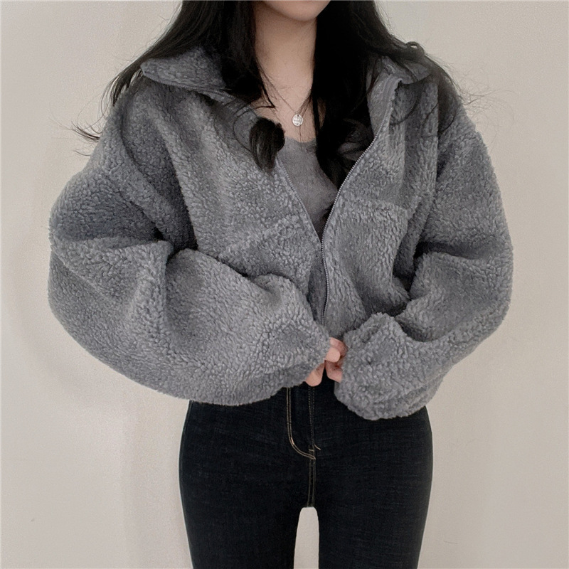 Designed Short Stand-Up Collar Warm Imitation Lamb Wool Jacket for Women in Autumn and Winter New Loose Elegant Zipper Cardigan Top