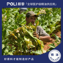 Ӣ���M�ڟ��݃���ԭ�� ����Absoluteԭ�� �H����Ȼ����ԭ�����l