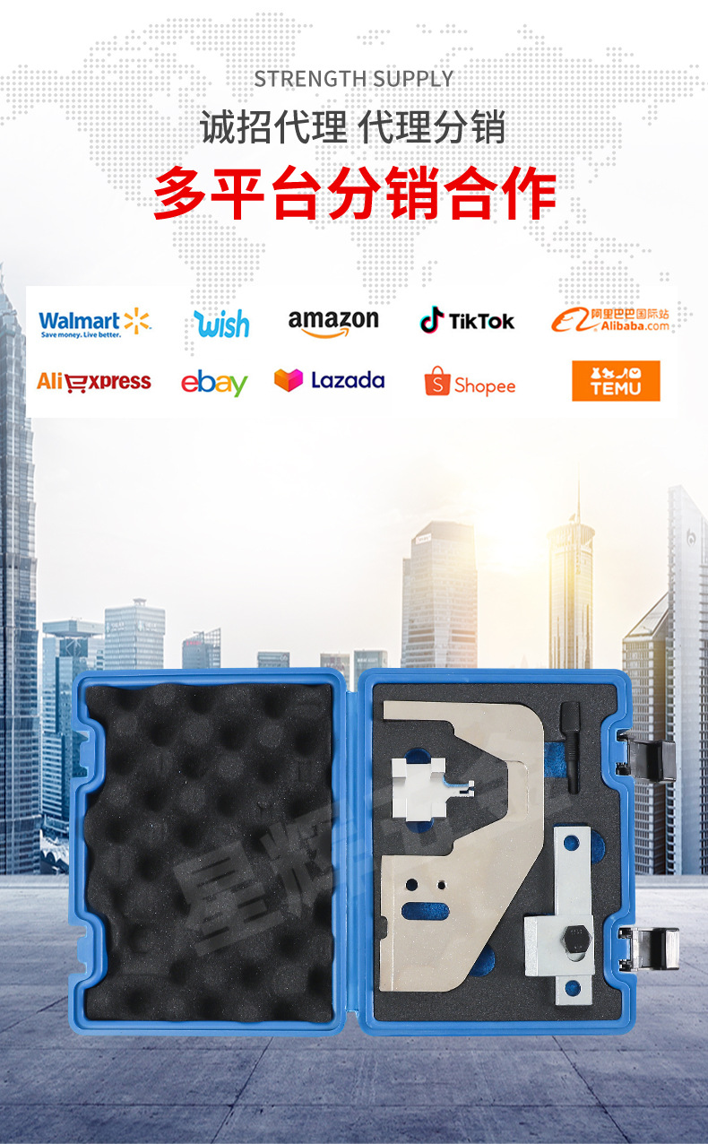 BYD 2.0T Engine Timing Tool from the Source Manufacturer, 487ZQA Engine-Specific Maintenance Tool Set