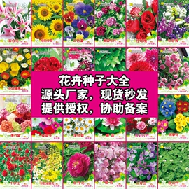 种子;蔬菜种子