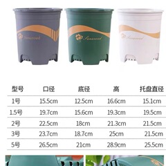 Galloon Planter with Streamer, 3rd Generation Root-Controlled Plastic Large Flower Pot—Prevents Root Rot, Perfect for Climbing Roses, Pothos, and Other Air-Permeable Indoor Plants