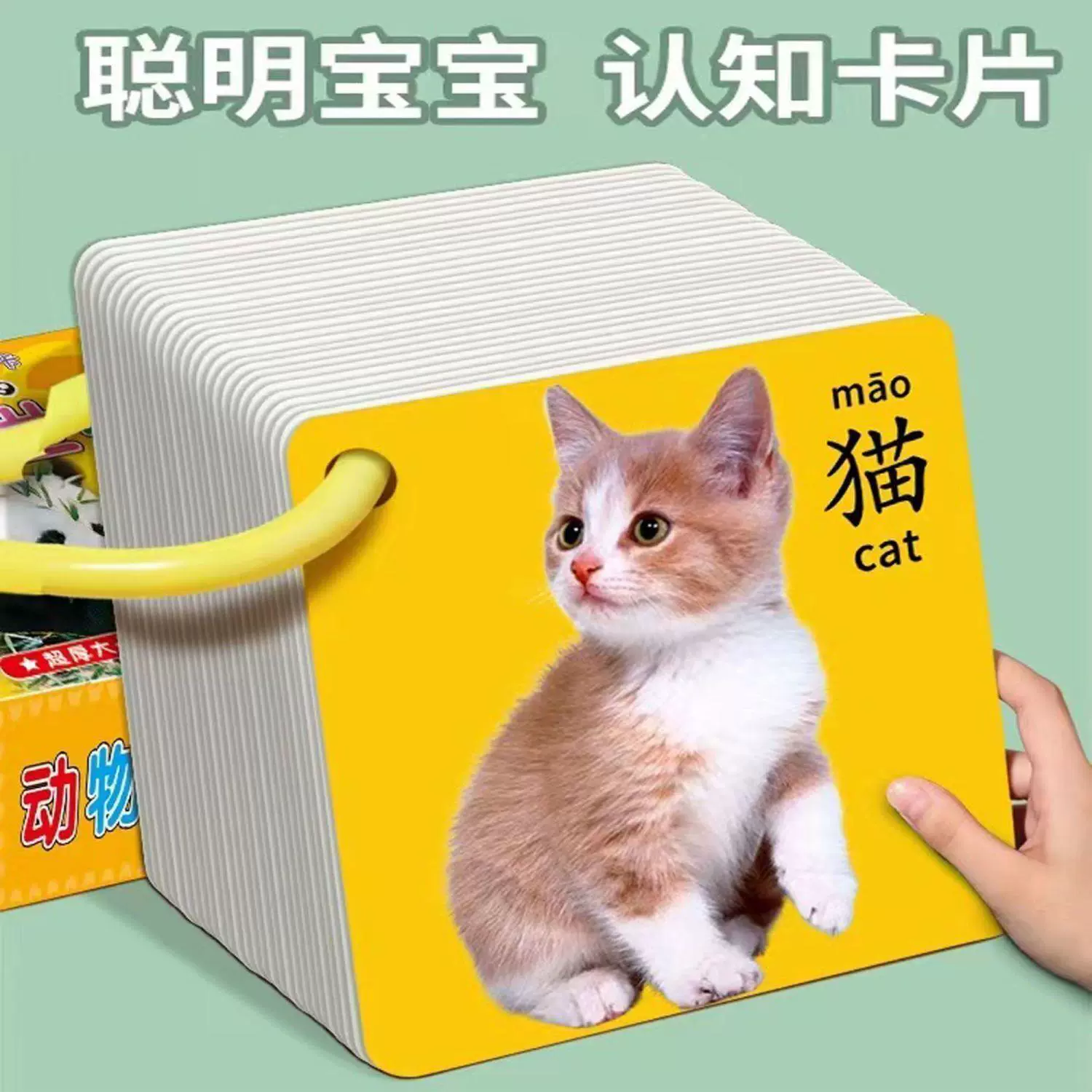 Когнитивные карты, игрушка, раннее образование, обучение, грамотность