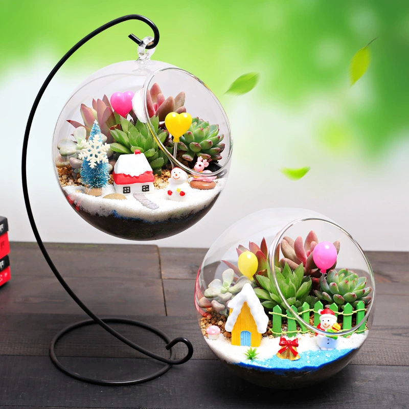13 см рождественское свежее сочное растение маленькое Горшечное растение микропейзажные украшения экологическая стеклянная бутылка шаровой цилиндр DIY материал
