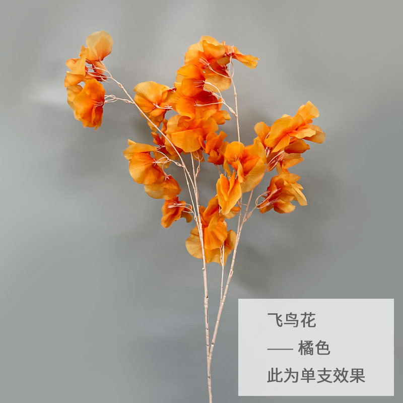 오렌지
