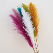 ���JȔ�ɻ�������ɫ��ɫ�W�t��Ȕ����˹�滨��c�b͏d��ؔ[��