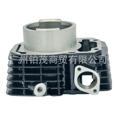 Xpulse200 Motorcycle Cylinder Kit Cylinder and parts