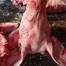 厂家精品猪头超市品质猪脸肉年货必选绍兴产线直销整只猪头批发