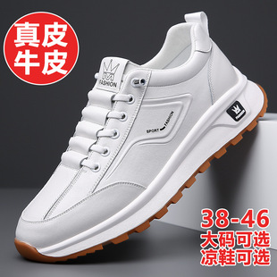 ��Ь����2026�¿����ʿ��Ƥܛ�����e�\��Ь�ٴ�͸������С��Ь