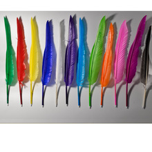 工厂直销动漫笔记本羽毛笔鹅毛笔圆珠笔多颜色可选30~35CM