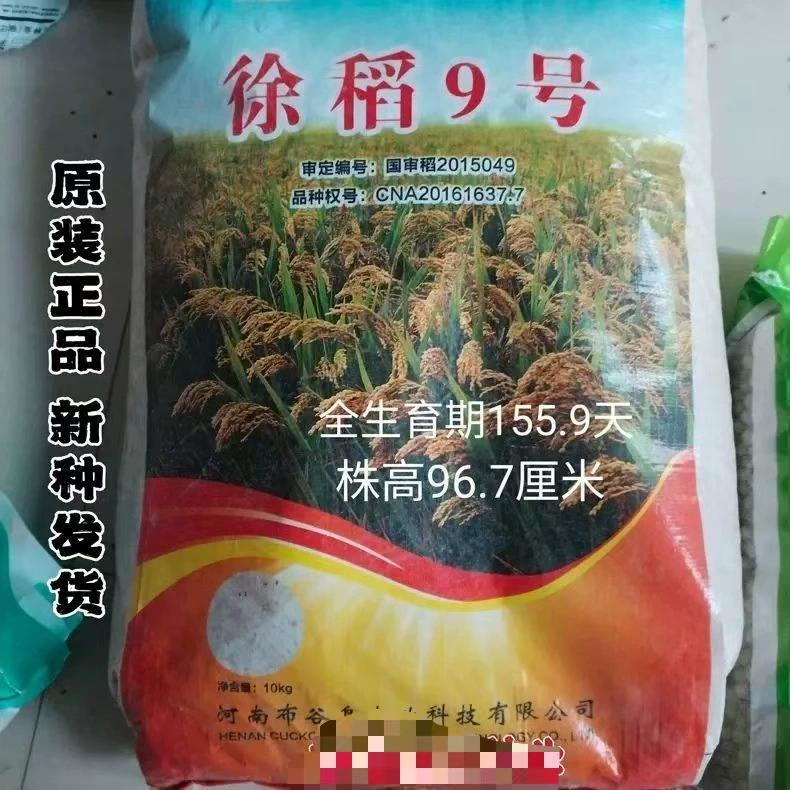 Семена риса Xu Dao № 9, национальные семена обычного риса Жасмин, высокоурожайные, устойчивые к болезням и устойчивые к болезням круглозернистые семена риса