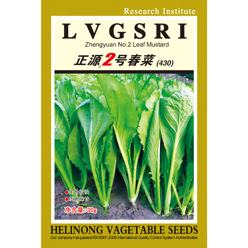和利农正源2号春菜种子四季小白菜种籽阳台盆栽小青菜蔬菜种孑