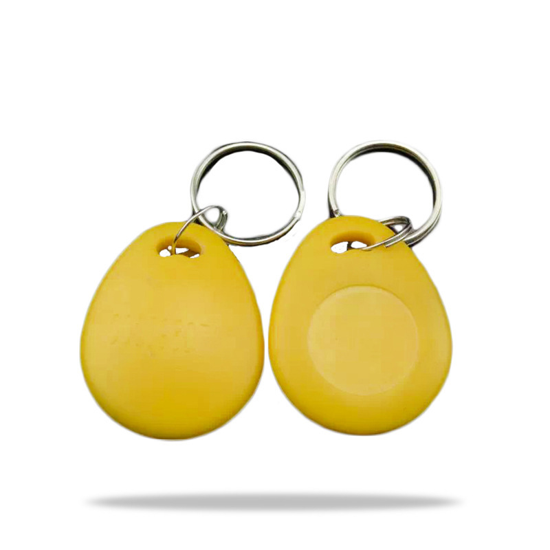 9号钥匙扣M1芯片射频卡 EM4200低频感应身份识别门禁卡 钥匙扣卡