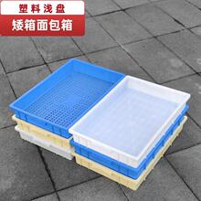 ���ϰ���\�P�бP���U��͸��ʳƷ����������ɼܸ��c��̫��ɳ�P