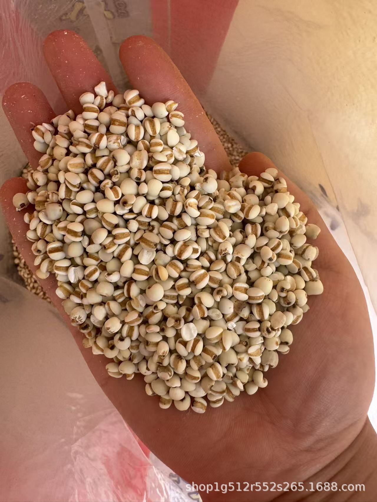 Coix Seed Yi Yi Ren 1000g Dried Job's Tears Whole Grain for Cooking and Herbal Soup preparation