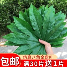 ����˽ǽ�P�~��ˮ�����b���Ʒ�٘��~�������ϾG�~ˮ������ƺ�|