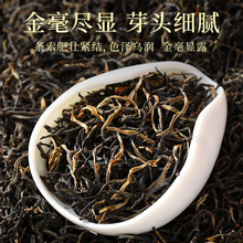 茶叶英红九号广东英德红茶老树茶新茶浓香型秋茶红茶批发