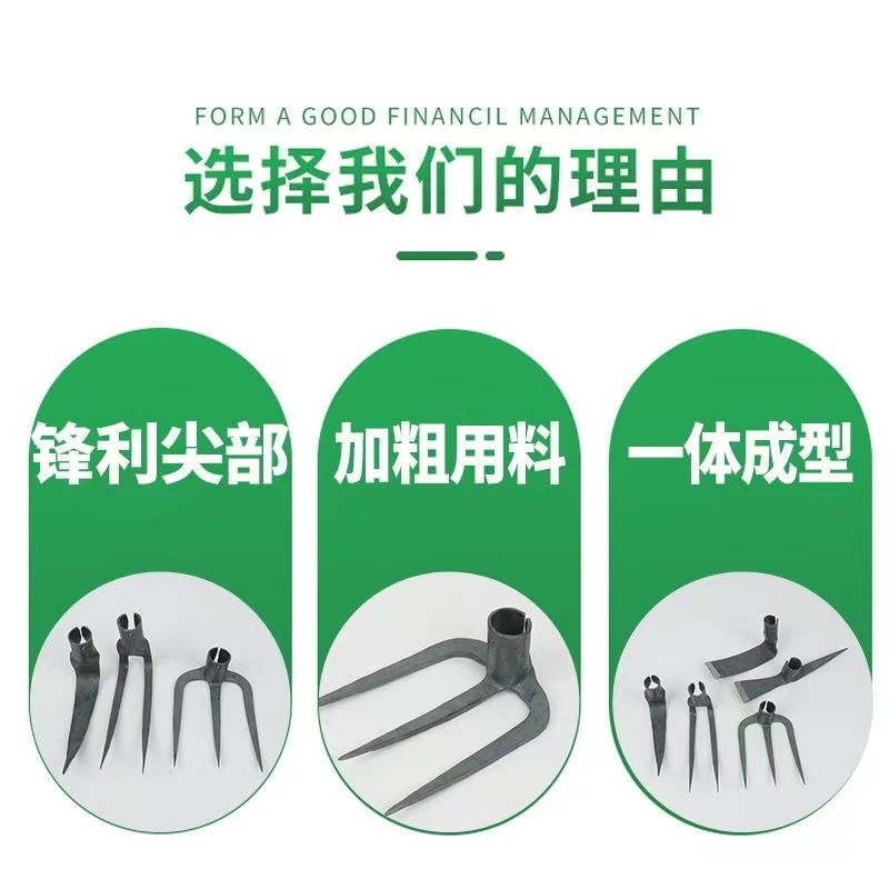 微信图片_202505050858553.jpg