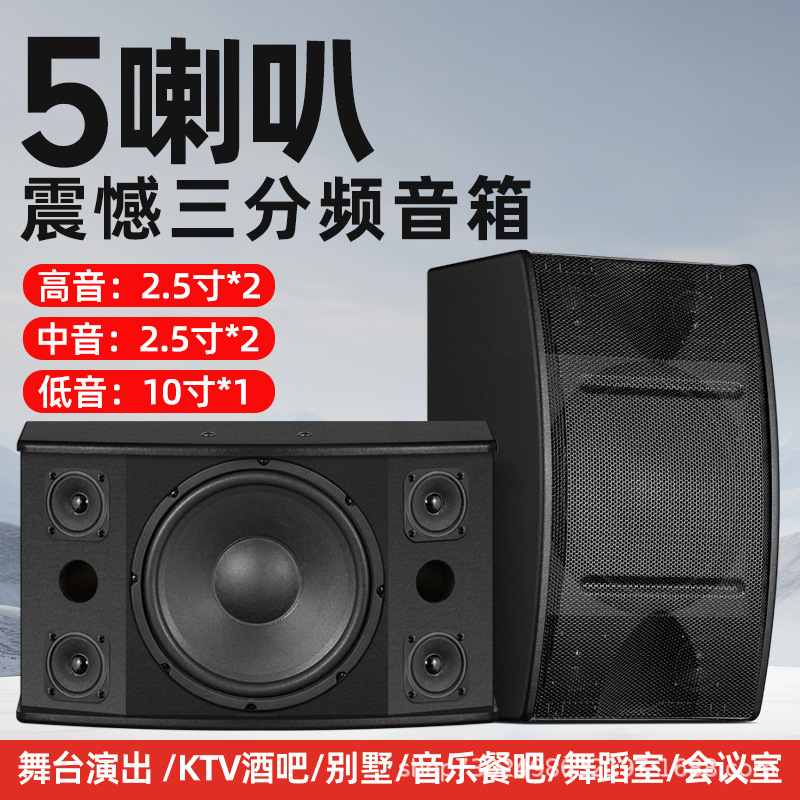 【Factory Direct Sales】Professional Home Ktv Audio System Karaoke Conference Package K-Song 10inch Speakers 【Factory Direct Sales】Professional Home Ktv Audio System Karaoke Conference Package K-Song 10inch Speakers