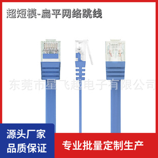 ���ǧ�ױ�ƽ�W��·��������оܛCAT6�����ģ����8P��W��