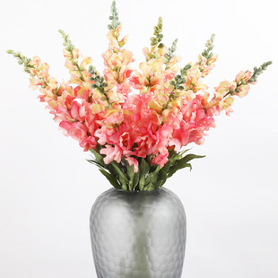 ���Q�¿� ��֧�w��ݻ� ���~�����_�m�Ҿ��b�c�ٻ����l