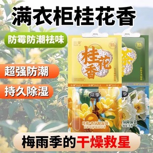 [Same as Douyin] Dehumidification Bag Desiccant for Home Indoor Dormitory Wardrobe Special Moisture-Proof and Mildew-Proof Back to the South