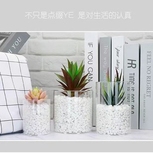 ˮ��ֲ��ƿ�WʽС��ƿ����΢���^�������Bƿ ����ֲ�ﻨ��[��