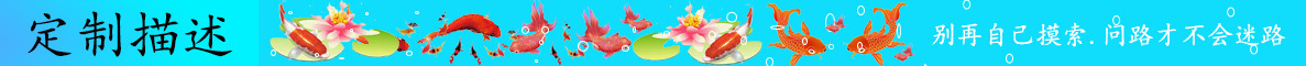 定制描述