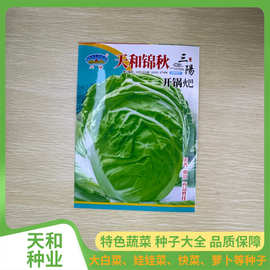 三阳大白菜种子规格包装可定制绿白包心菜种子耐热白菜种子