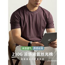 [230G���Һ���z����]��ɫ����T�� 2025�¿���ʿ���e��ɫ�w��
