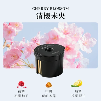 Long-Lasting Fragrance, Men's Car Perfume, Car Perfume Aromatherapy - qingying-weiyang-1-incense-box
