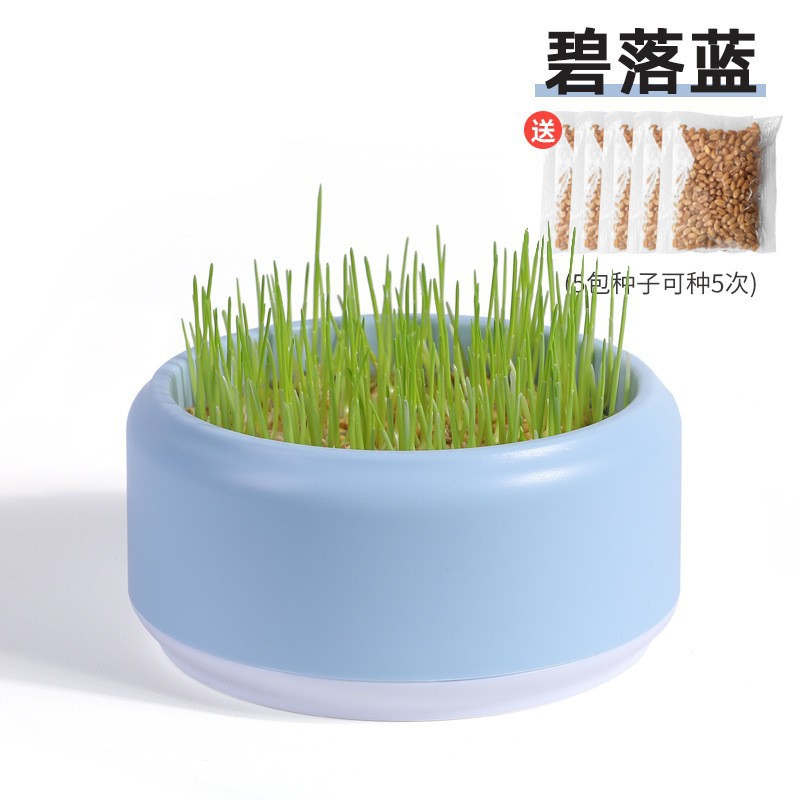 Hierba de gato al por mayor semillas de trigo semillas caja hidropónica plantas en maceta rebanadas de bolas de pelo desechadas listas para comer bocadillos de menta para gatos suministros para gatos