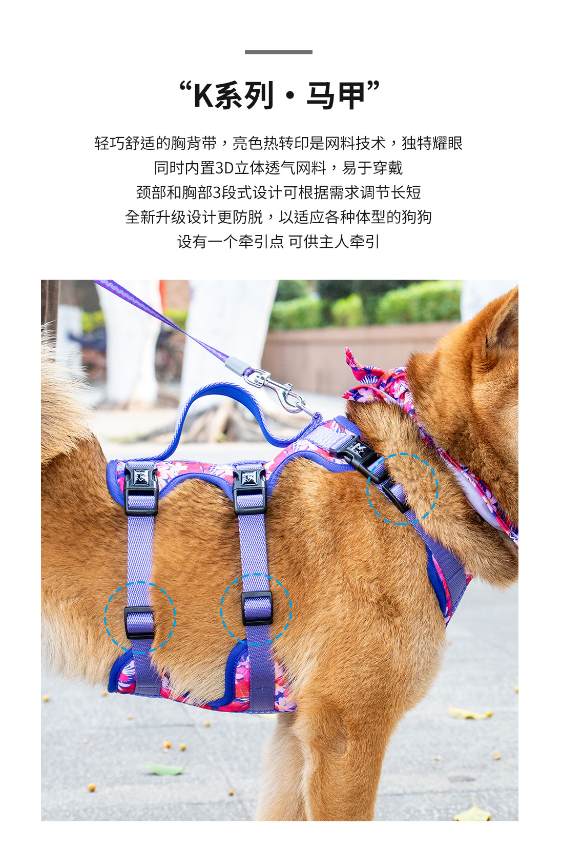 套装-详情页中文_06.jpg