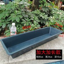 �u��ϲ����Z��ι�uʳ���L�����Bֳ���ιʳ����