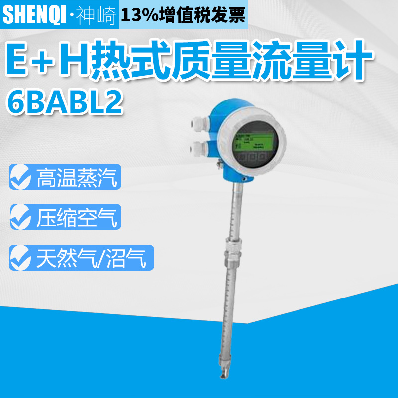 热式气体质量流量计6BABL1/6BABL2/6BABL3经济型常用气体的监测