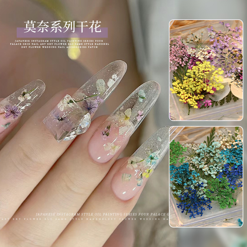 Manicure Dried Flower Nail Jewelry Monet Garden Oil Painting Small Flower Ins Style Color Real Flower Petal DIY Nail Jewelry