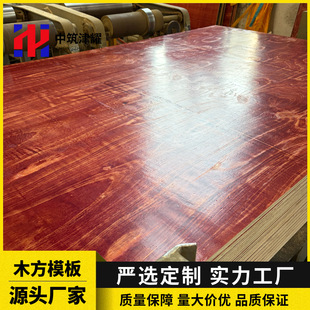 �t��ľ���彨�Bģ��ľ���z�ϰ�ľ�z�幤��֧ģ�Խ������B�������