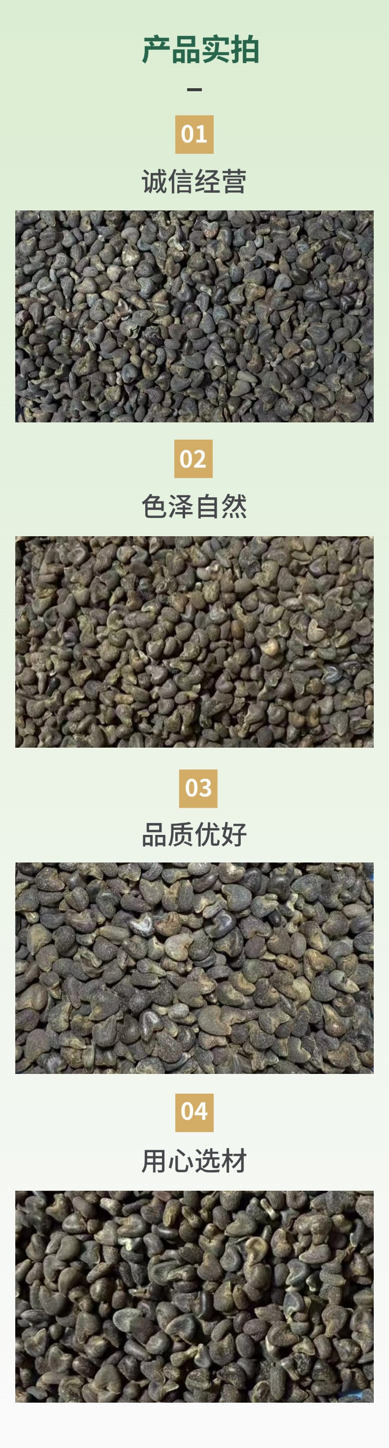 Dried Abutilon Seed Ma Guo Zi Qing Ma Zi Traditional Herbal Use 500g specifications