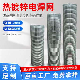 镀锌铁丝网围栏网果园防护钢丝网内外墙抹灰挂网不锈钢电焊网