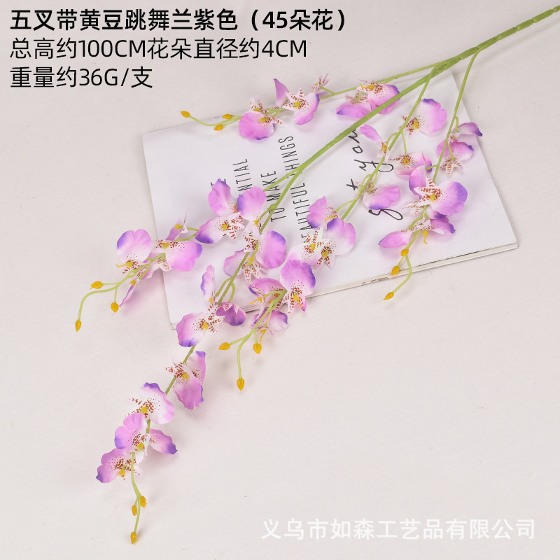 Cinco puntas con soja bailando azul púrpura