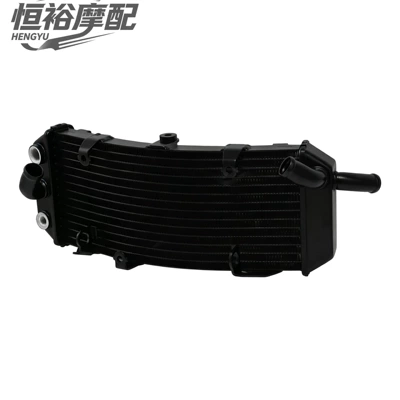 Suitable for Yamaha T-MAX500 TMAX530/560, cooling water tank assembly, water-cooled radiator, 97-24 (Water tank) - tmax500-97-11-year-black