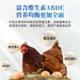Concentrated Multi-Dimensional Cod Liver Oil, Veterinary Vitamin Ade, Multi-Dimensional Feed Additive, Calcium Supplement for Chickens, Ducks, Geese, Pigs, Cattle and Sheep