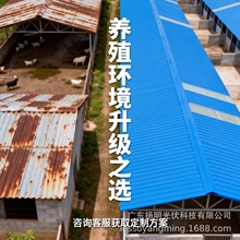 ��PVC�����ţ���Ό�����������u����������͸��g�Bֳ����Ƭ